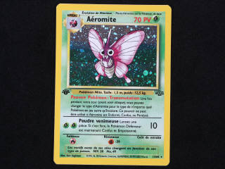 Lot 5 - POKEMON COMPANY (FRANCE) (1)