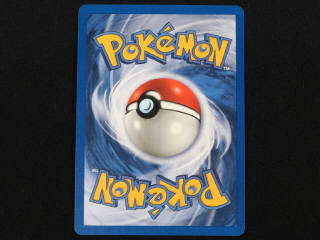 Lot 8 - POKEMON COMPANY (FRANCE) (1)