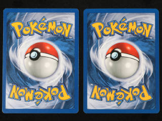 Lot 11 - POKEMON COMPANY (FRANCE) (2)