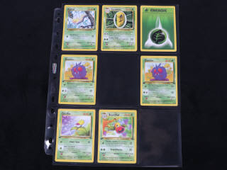 Lot 15 - POKEMON COMPANY (FRANCE) (24)