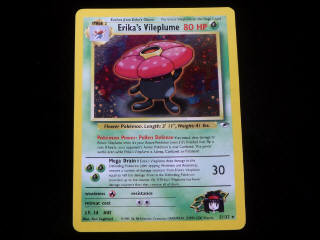 Lot 14 - POKEMON COMPANY (USA) (1)