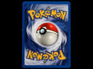 Lot 41 - POKEMON COMPANY (USA) (1)