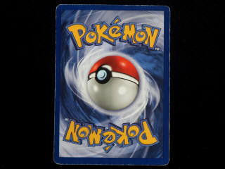 Lot 18 - POKEMON COMPANY (FRANCE) (1)