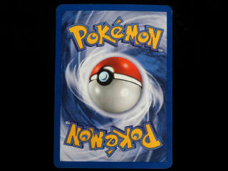 Lot 29 - POKEMON COMPANY (FRANCE) (1)