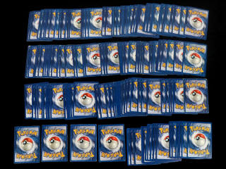 Lot 24 - POKEMON COMPANY (FRANCE) (1)