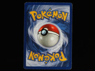 Lot 53 - POKEMON COMPANY (FRANCE) (1)