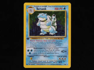 Lot 52 - POKEMON COMPANY (FRANCE) (1)