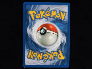 Lot 54 - POKEMON COMPANY (FRANCE) (1)
