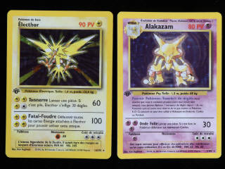 Lot 55 - POKEMON COMPANY (FRANCE) (2)