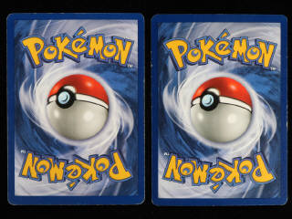 Lot 55 - POKEMON COMPANY (FRANCE) (2)