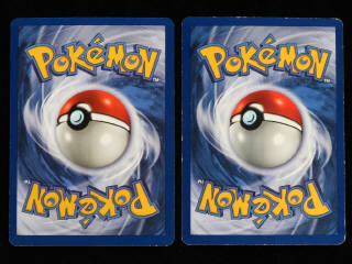 Lot 56 - POKEMON COMPANY (FRANCE) (2)