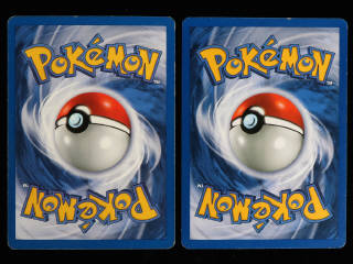 Lot 63 - POKEMON COMPANY (FRANCE) (2)