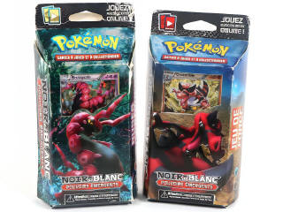 Lot 24 - POKEMON COMPANY (FRANCE) (2)