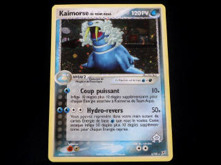 Lot 39 - POKEMON COMPANY (FRANCE) (1)