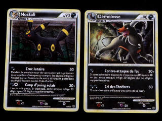Lot 51 - POKEMON COMPANY (FRANCE) (2)