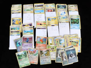 Lot 48 - POKEMON COMPANY (FRANCE) (1)