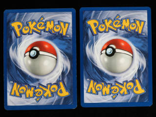 Lot 76 - POKEMON COMPANY (FRANCE) (2)