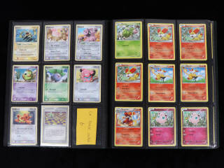 Lot 35 - POKEMON COMPANY (FRANCE) (1)
