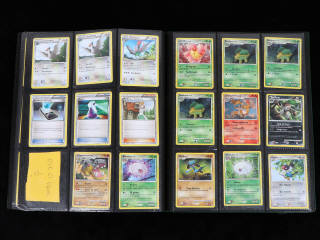 Lot 35 - POKEMON COMPANY (FRANCE) (1)