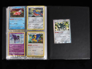 Lot 34 - POKEMON COMPANY (FRANCE) (1)