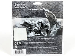 Lot 38 - POKEMON COMPANY (FRANCE) (1)
