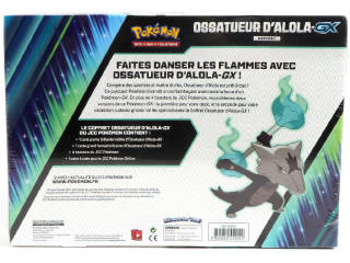 Lot 22 - POKEMON COMPANY (FRANCE) (1)