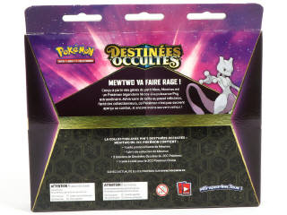 Lot 8 - POKEMON COMPANY (FRANCE) (1)