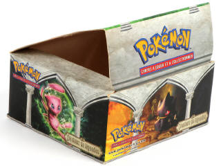 Lot 100 - POKEMON COMPANY (FRANCE) (1)