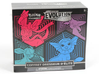 Lot 4 - POKEMON COMPANY (FRANCE) (1)