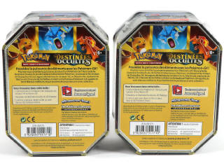 Lot 6 - POKEMON COMPANY (FRANCE) (2)