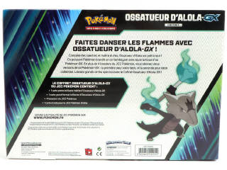 Lot 21 - POKEMON COMPANY (FRANCE) (1)