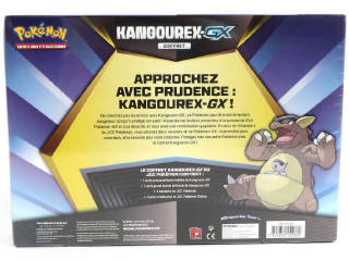 Lot 19 - POKEMON COMPANY (FRANCE) (1)