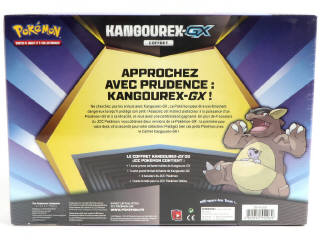 Lot 18 - POKEMON COMPANY (FRANCE) (1)
