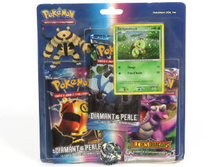 Lot 90 - POKEMON COMPANY (FRANCE) (1)