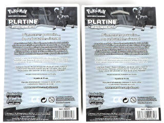 Lot 56 - POKEMON COMPANY (FRANCE) (2)