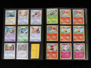 Lot 45 - POKEMON COMPANY (FRANCE) (1)