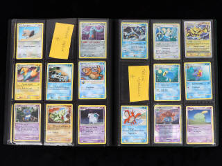 Lot 45 - POKEMON COMPANY (FRANCE) (1)