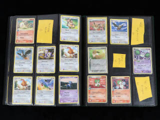 Lot 45 - POKEMON COMPANY (FRANCE) (1)