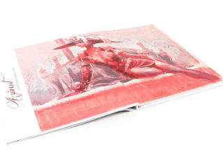 Lot 7 - EDITIONS VENTS D'OUEST (FRANCE) (1)