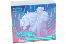 POKEMON COMPANY (FRANCE) (1)