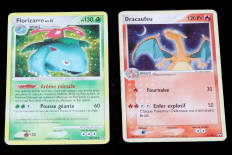 POKEMON COMPANY (FRANCE) (2)