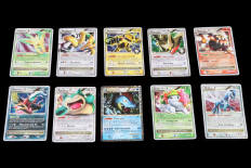 POKEMON COMPANY (FRANCE) (10)