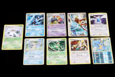POKEMON COMPANY (FRANCE) (9)