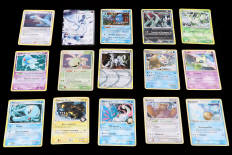 POKEMON COMPANY (FRANCE) (15)