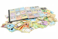 POKEMON COMPANY (FRANCE) (2)