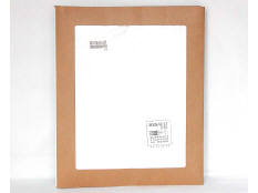 RENAULT (FRANCE) (1)