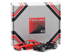 FEELING 43 (FRANCE) (1)
