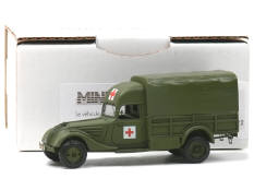 MINITRUCKS (FRANCE) (1)