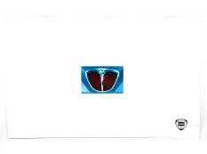 EDITION FIAT AUTO (ITALIE) (1)