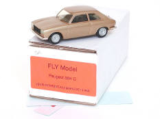 FLY MODEL (FRANCE) (1)